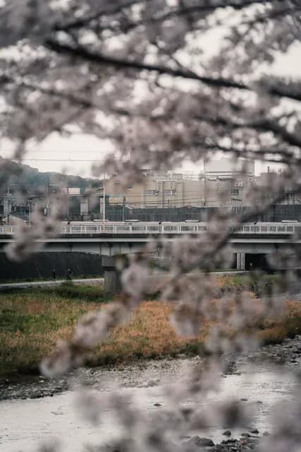 Japan - Image 6